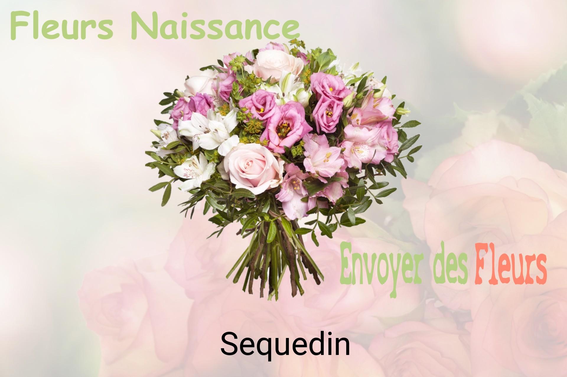 Bouquet de fleurs de naissance livré à Sequedin